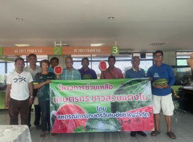 สังเกตการณ์การรวบรวมผลผลิตแตงโมจากสมาชิกสหกรณ์การเกษตรวิเศษชัยชาญ จำกัด ... พารามิเตอร์รูปภาพ 1