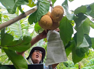 ร่วมลงพื้นที่ตรวจประเมินพิจารณาคำขอใช้ ... พารามิเตอร์รูปภาพ 6