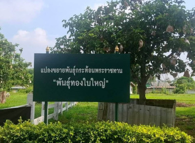ร่วมลงพื้นที่ตรวจประเมินพิจารณาคำขอใช้ ... พารามิเตอร์รูปภาพ 1