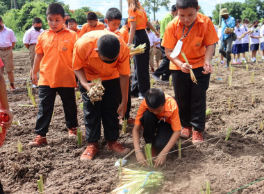 งานรณรงค์ปลูกหญ้าแฝกเพื่อการอนุรักษ์ดินและน้ำ ... พารามิเตอร์รูปภาพ 8