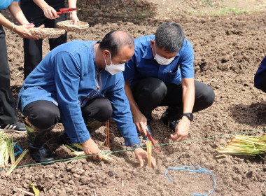 งานรณรงค์ปลูกหญ้าแฝกเพื่อการอนุรักษ์ดินและน้ำ ... พารามิเตอร์รูปภาพ 3