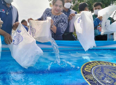 พิธีปล่อยพันธ์ุสัตว์น้ำโครงการเพิ่มประสิทธิภาพบริหารจัดการภาครัฐและการพัฒนาคุณภาพการให้บริการประชาชน ... พารามิเตอร์รูปภาพ 5