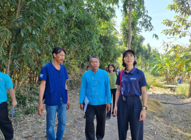 ประกวดศูนย์เรียนรู้การเพิ่มประสิทธิภาพการผลิตสินค้าเกษตร ... พารามิเตอร์รูปภาพ 9