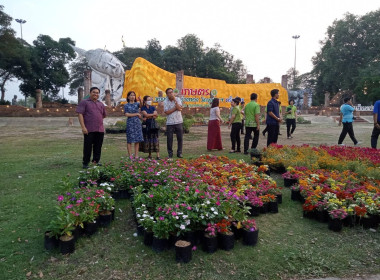 เเถลงข่าวการจัดงาน “เกษตรและของดีเมืองอ่างทอง วัดขุนอินฯ” พารามิเตอร์รูปภาพ 5