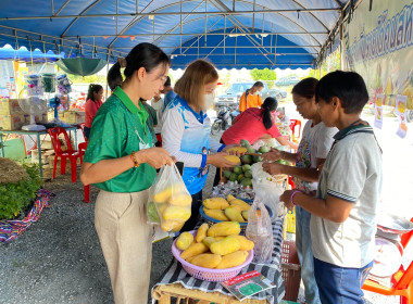 งานแสดงสินค้าปัจจัยการผลิต (trade fair) ... พารามิเตอร์รูปภาพ 5