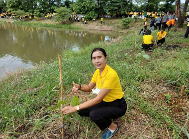 เข้าร่วมกิจกรรมปลูกต้นไม้เฉลิมพระเกียรติพระบาทสมเด็จพระเจ้าอยู่หัว ... พารามิเตอร์รูปภาพ 4