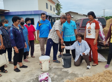 โครงการสร้างมูลค่าเพิ่มจากวัสดุเหลือใช้ทางการเกษตร ... พารามิเตอร์รูปภาพ 6