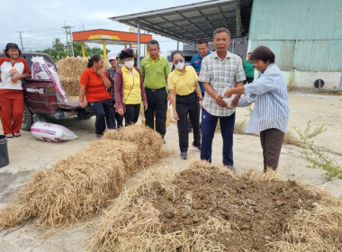 โครงการสร้างมูลค่าเพิ่มจากวัสดุเหลือใช้ทางการเกษตร ... พารามิเตอร์รูปภาพ 10