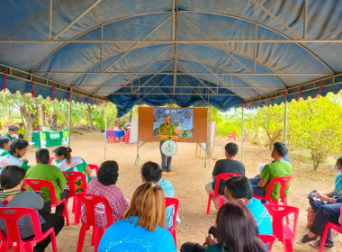 วันถ่ายทอดเทคโนโลยี เพื่อเริ่มฤดูกาลผลิตใหม่ (Field Day) ... พารามิเตอร์รูปภาพ 6